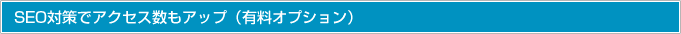SEO対策でアクセス数もアップ（有料オプション）
